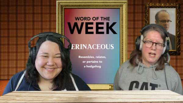Episode 9 of show displaying word of week Erinaceous which is resembling a hedgehog. Includes casual capture of Katrina and Jen standing at a desk.